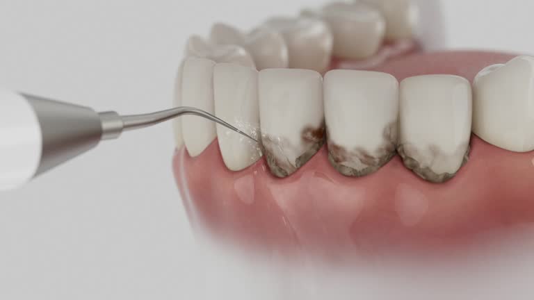 Reliable Dental contractor in River Park, FL by Dentist Open Now